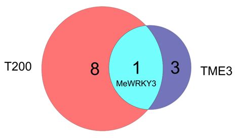 WRKY Transcription Factors in Cassava Contribute to Regulation of ...