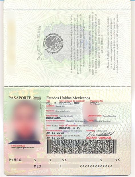 Mexican passport