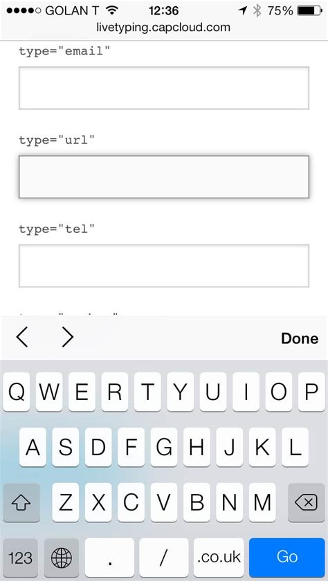 Input Type URL 的图像结果
