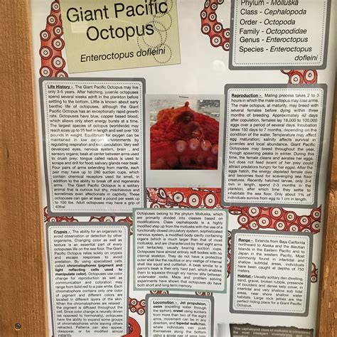 SEA Discovery Center (Poulsbo) - All You Need to Know BEFORE You Go