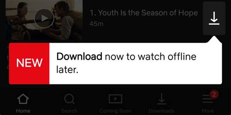 Image result for Netflix Download Tips