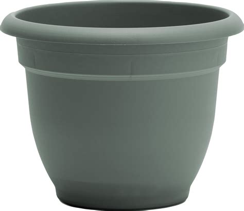 BLOEM ARIANA PLANTER | BASIL | 8 IN | 010497 - Bradley Caldwell, Inc