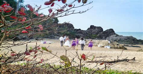Cairns Wedding Venues Top 10 Places For Your Special Day