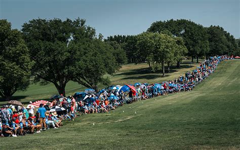 Spectator 的图像结果