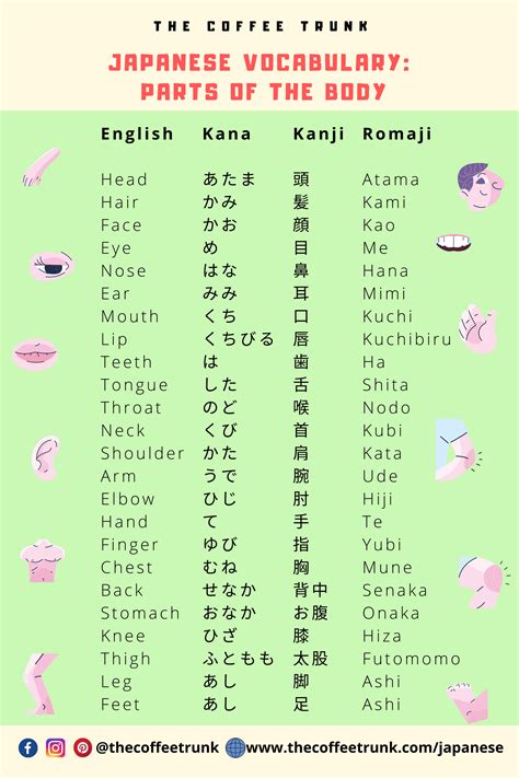 Basic Japanese Words Daycare Center Pin on Chinese
