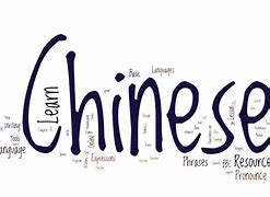Image result for Chinese language 中国语文