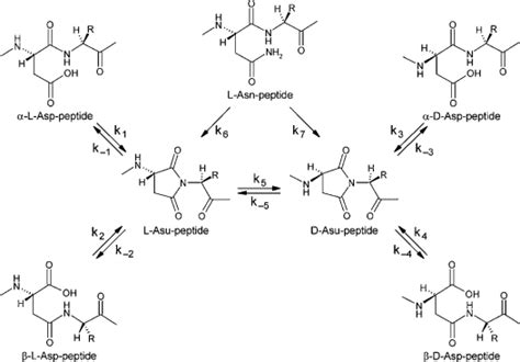 Image result for Random Science Computer Image