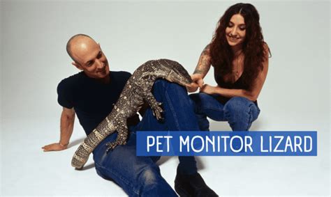 Image result for Dogs vs Monitor Lizard