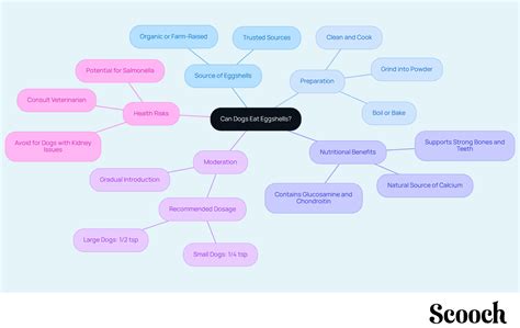 Can Dogs Eat Eggshells? A Step-by-Step Guide for Pet Owners