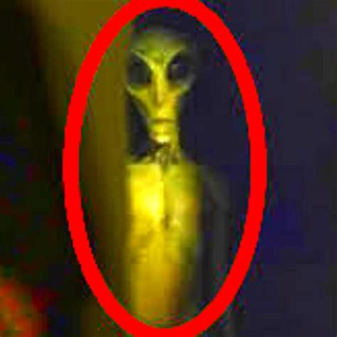 Alien Runways 的图像结果