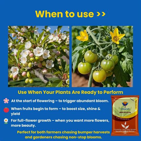 MKP 00 52 34 - Mono Potassium Phosphate, 100% Water Soluble Foliar Spr ...