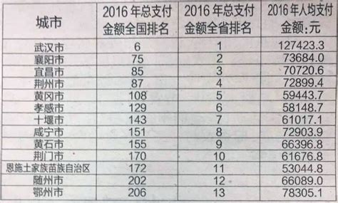 支付宝发布2016年全民账单 荆州人均支付72899元-新闻中心-荆州新闻网