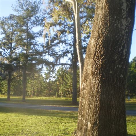 LAKE COMO FAMILY NUDIST RESORT (Lutz) - Specialty Resort Reviews ...