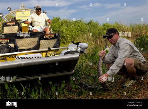 Shawn Python 的图像结果