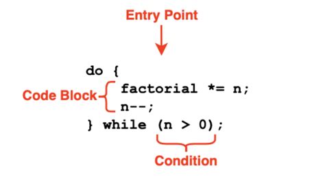 Image result for Program Code Do While Loops