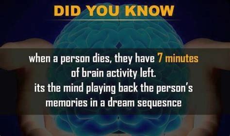 14 Facts about humans and human behaviour that will simply amaze you ...