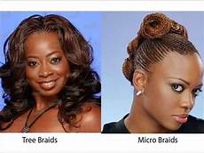 Micro Braids Vs Crochet Braids by Tree Braids Vs Micro Braids Micro Braids Vs Crochet Braids