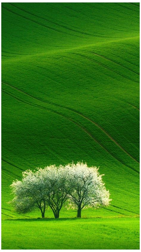 Green Nature Mobile 4k Wallpapers - Wallpaper Cave