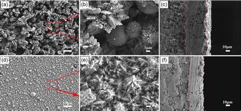 Image result for Sem Structure