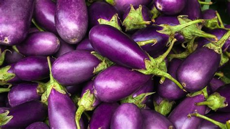 When Is an Eggplant Ripe? | Hunker | Eggplant benefits, Purple ...