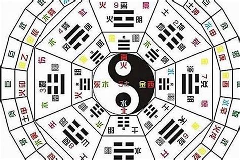 蒲柳人家教案，八字算命几两几钱命_八字_若朴堂文化