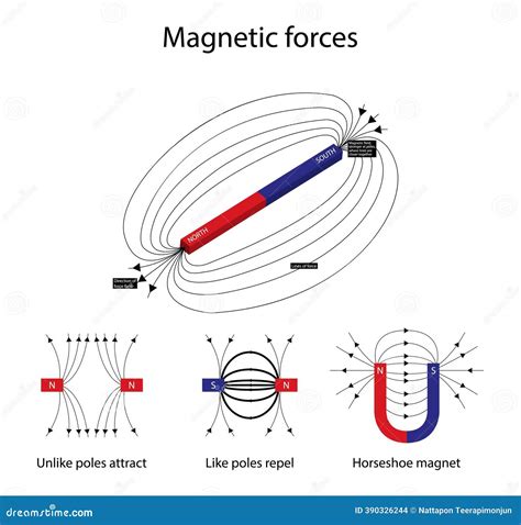 Magnetism Force Example Images 的图像结果
