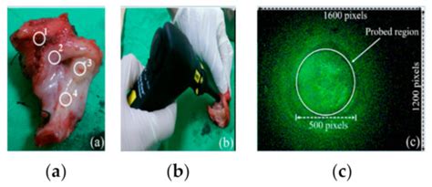 Sensors | Topical Collection : Advances in Spectroscopy and Spectral ...