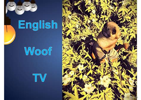 English Grammar Tree Modals 的图像结果