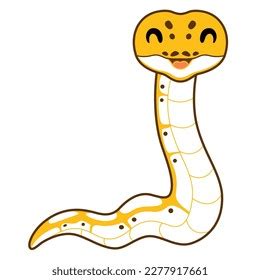 Image result for Ivory Ball Python