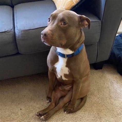 Men's Purple Fancy-dress | Depop