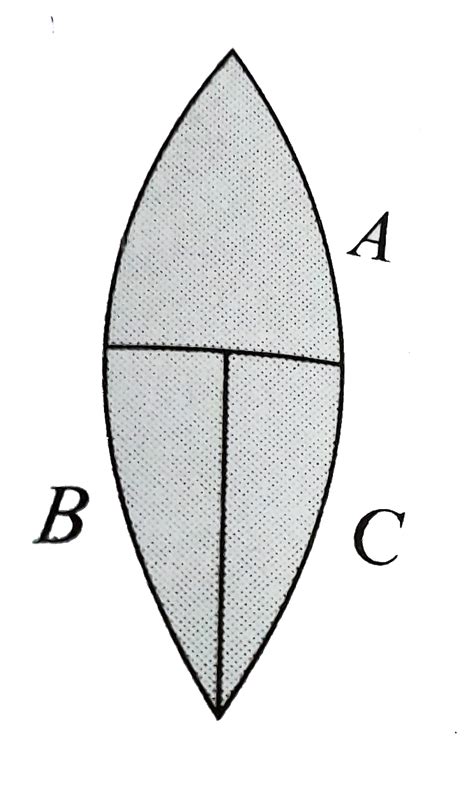 A thin, symmetric double convex lens of power P is cut into three parts ...