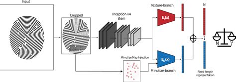 Embedding Vector 的图像结果