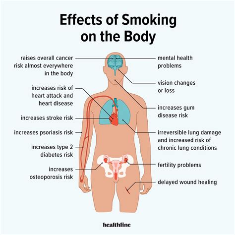 Nicotine Facts Effects And Addiction Nicotine Information | Facts,
