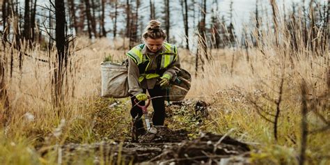 Environmentalist Purpose Example 的图像结果