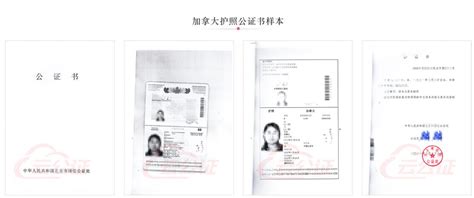外国人护照翻译公证办理-译联翻译公司