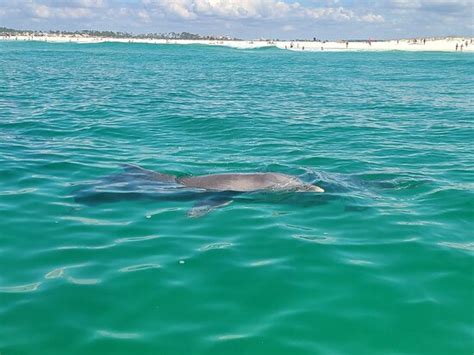 Anchor Charters (Panama City Beach) - 2022 What to Know Before You Go ...