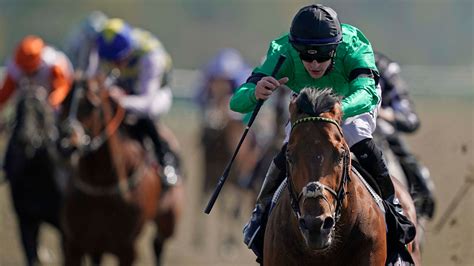 Star sprinter Kachy suffers fatal injury at Lingfield | Racing News ...