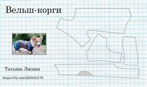 Выкройки одежды для собак для начинающих (54 фото) - картинки sobakovod ...