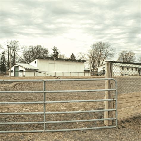 Building A Horse Round Pen: A Beginner's Guide