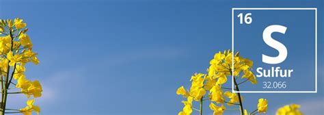 The Benefits of sulfur in Farming