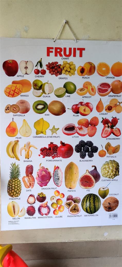 Fruits (All in One) Educational Wall Chart For Kids - Both Side Hard ...