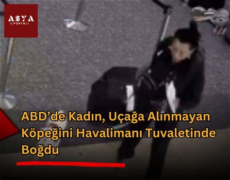 Asya Portalı | ABD’de Kadın, Uçağa Alınmayan Köpeğini Havalimanı ...