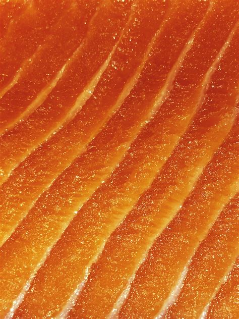 Poach Salmon in The Dishwasher | Save Carbon Emissions