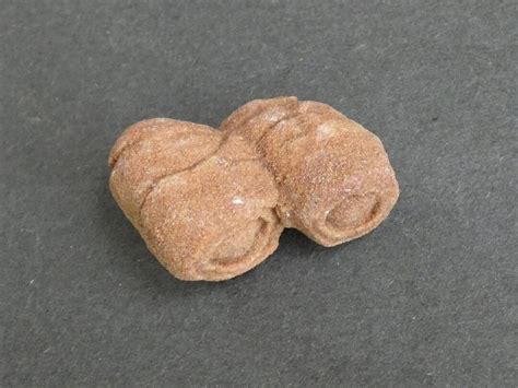 Buy 50mm Natural Sandstone Concretion, One of a Kind, Large Sandstone ...