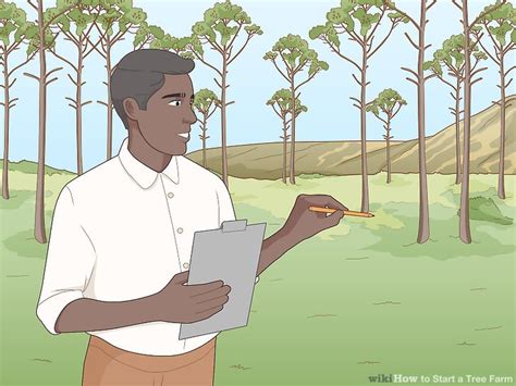 Image result for How to Build a Tree Farm