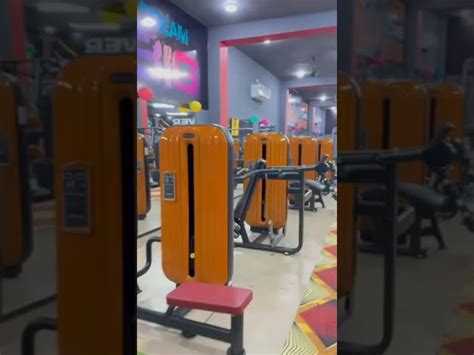 Full Gym Setup - Commercail gym Setup Project Trader - Retailer from ...