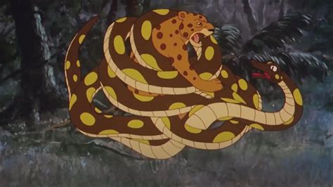 Image result for Jaguar vs Python