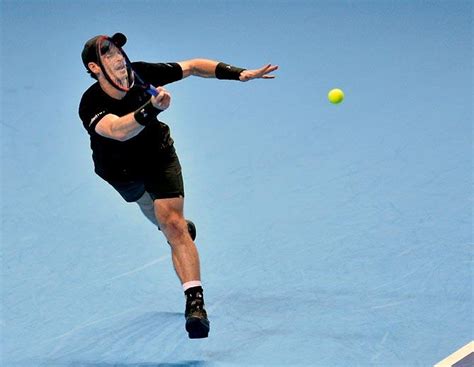 Fitting climax to the season as Murray takes on Djokovic in title clash ...