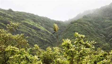 Hadashi Temple | WhatsHot Pune