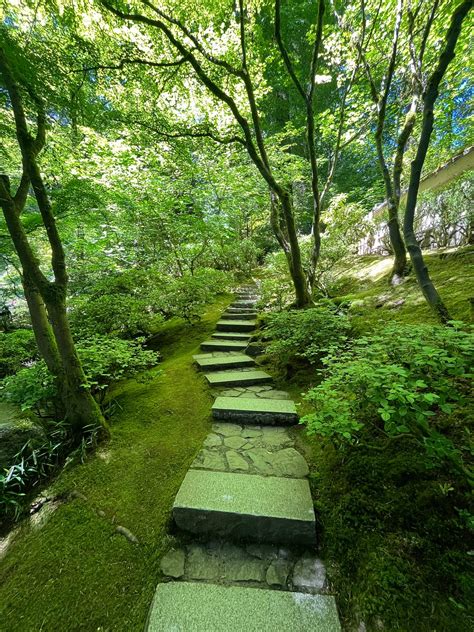 Moving to Portland from Los Angeles | by Leigh Rosaline | Medium